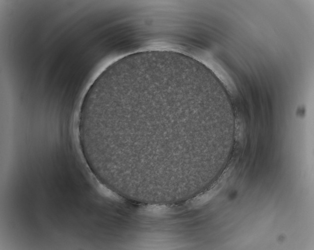 X0000102831094200809151034