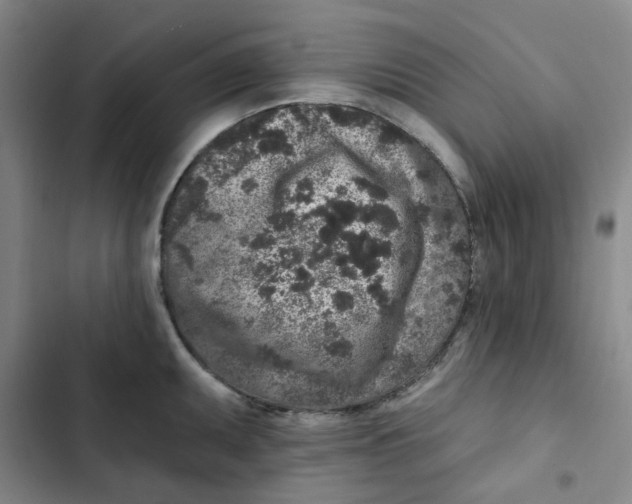 X0000102831095200809151034