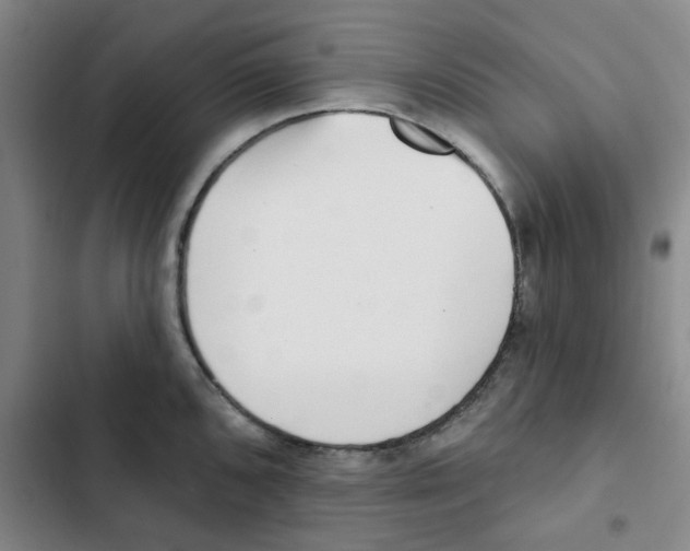 X0000102831096200809151034