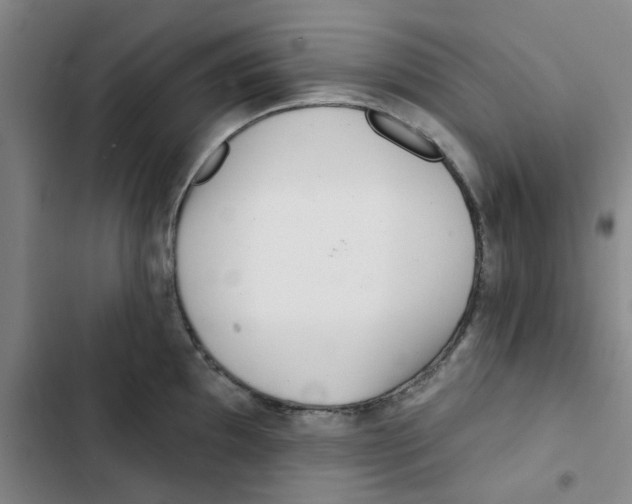 X0000102831097200809151034