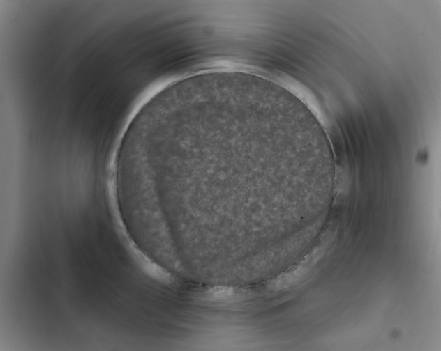 X0000102831098200809151034