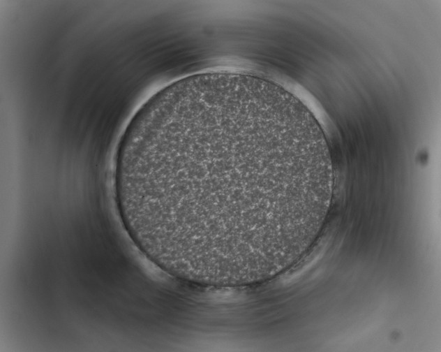 X0000102831099200809151034
