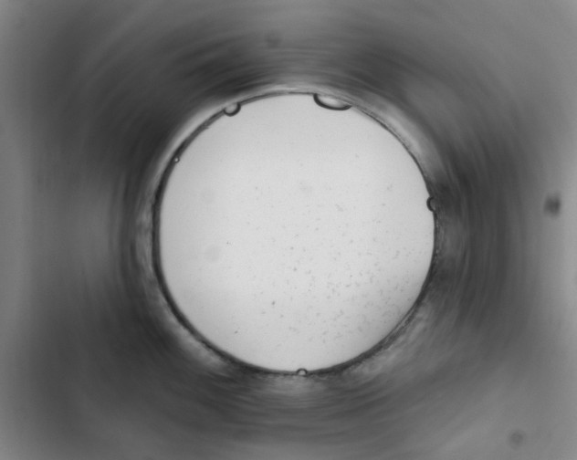 X0000102831100200809151034