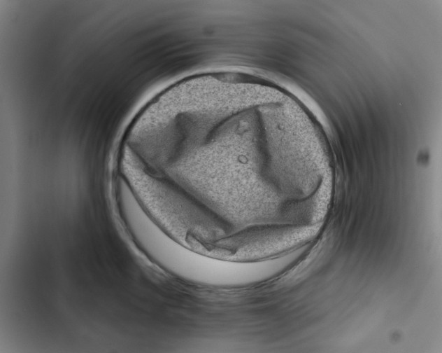 X0000102831101200809151034