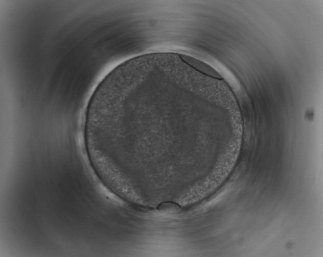 X0000102831102200809151034