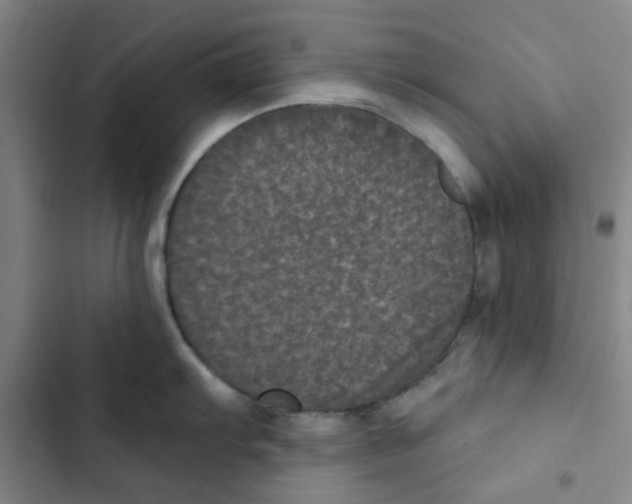 X0000102831103200809151034
