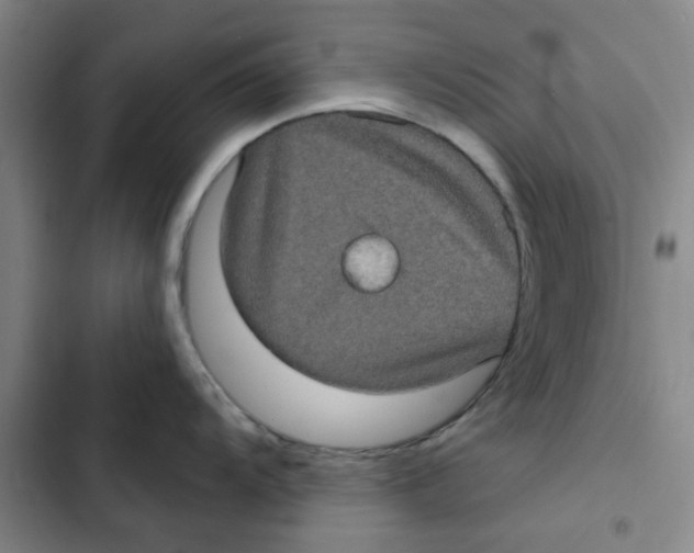 X0000102831104200809151033