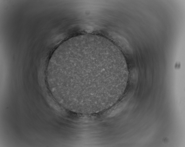 X0000102831105200809151033