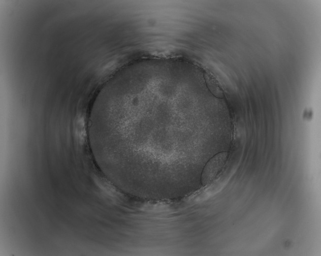 X0000102831106200809151033
