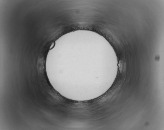 X0000102831107200809151033