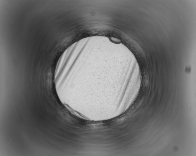 X0000102831108200809151033