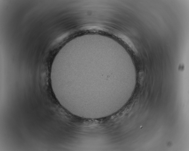 X0000102831111200809151033