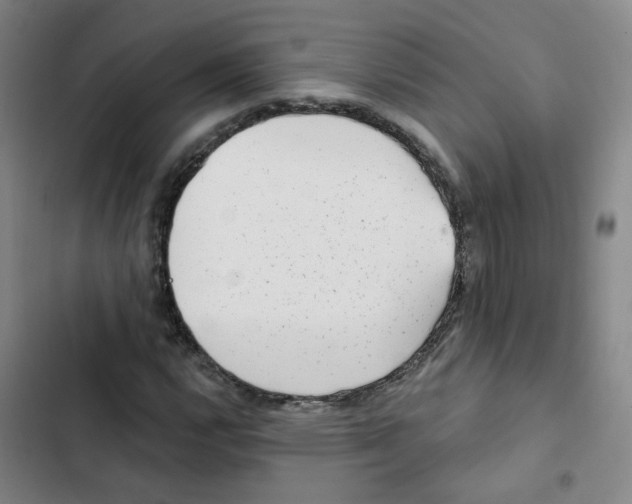 X0000102831112200809151033