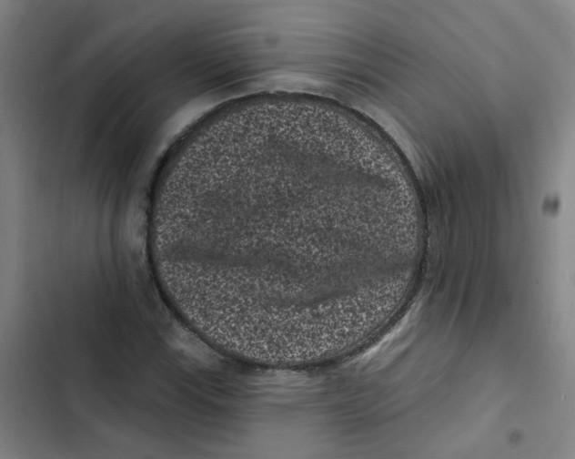 X0000102831115200809151033