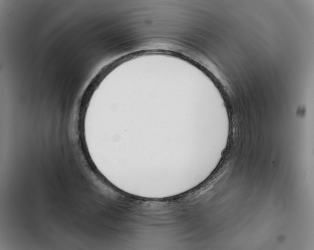 X0000102831116200809151033