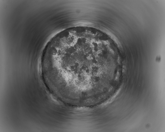 X0000102831117200809151033