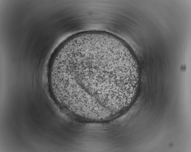 X0000102831118200809151033