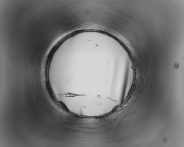 X0000102831120200809151033