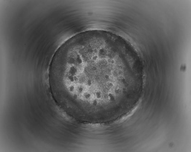 X0000102831121200809151033