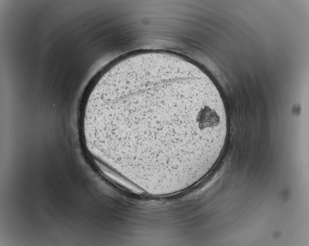 X0000102831122200809151033