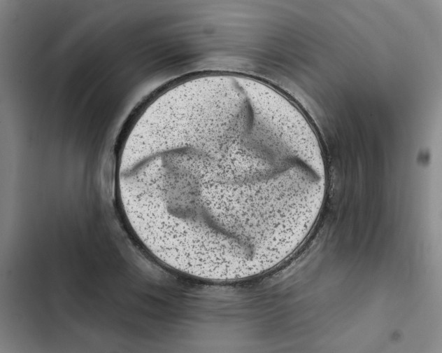 X0000102831123200809151033