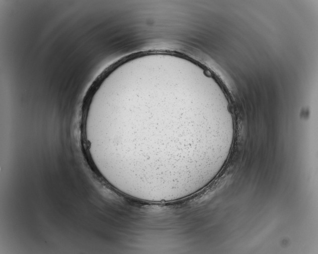 X0000102831124200809151033