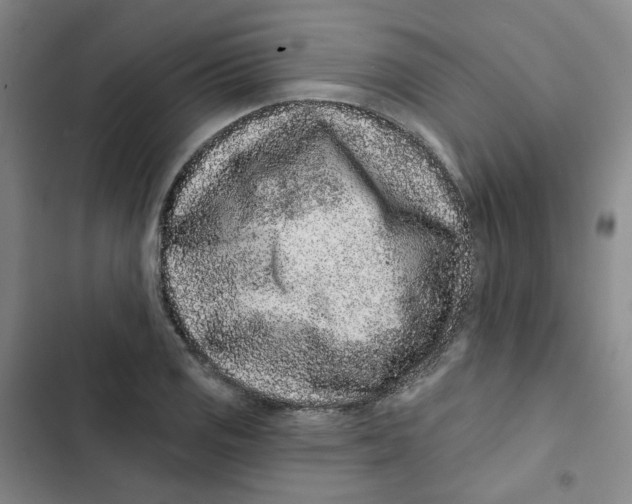 X0000102831125200809151033