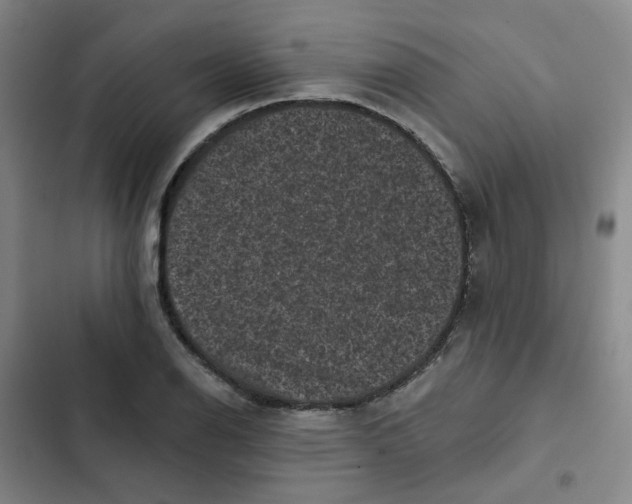 X0000102831126200809151033
