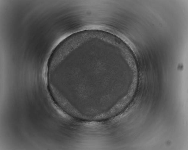 X0000102831127200809151033