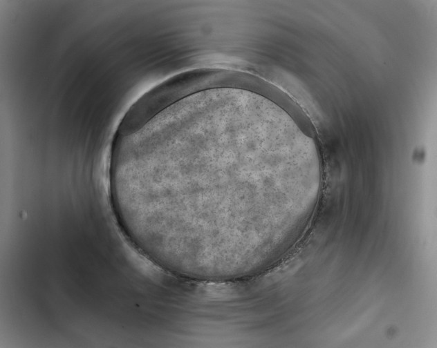 X0000102831128200809151033