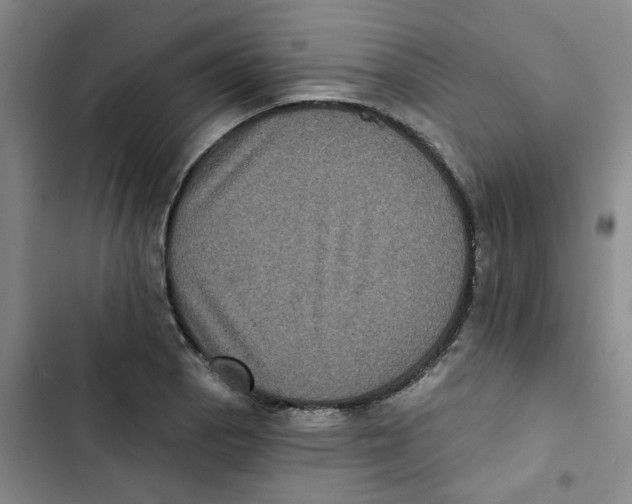 X0000102831129200809151033