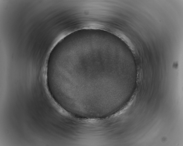 X0000102831130200809151033