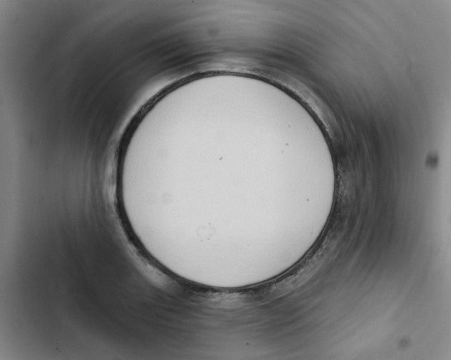 X0000102831131200809151033