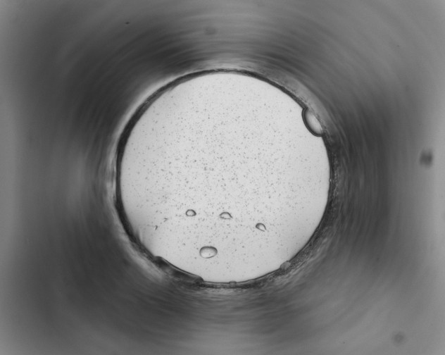 X0000102831132200809151033