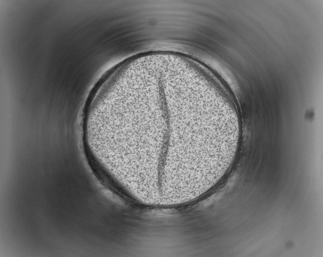X0000102831133200809151033