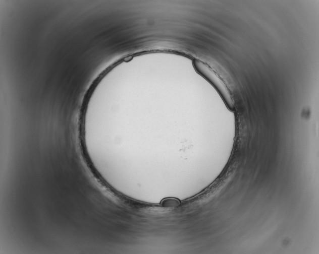 X0000102831134200809151033