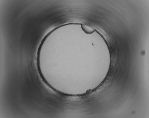 X0000102831135200809151033