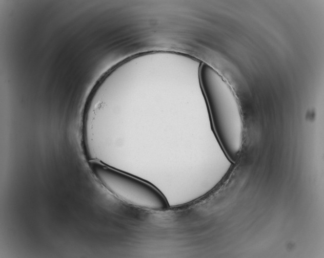 X0000102831136200809151033