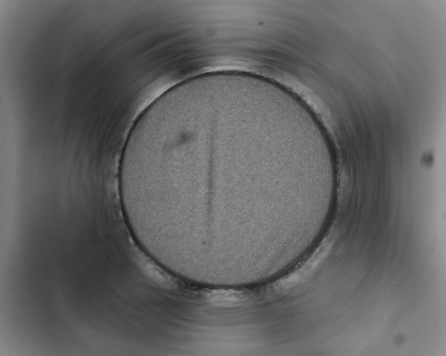 X0000102831137200809151033