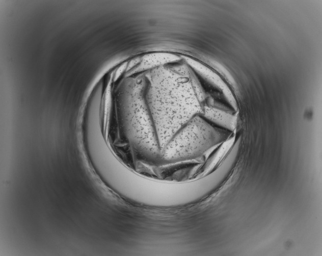 X0000102831138200809151033