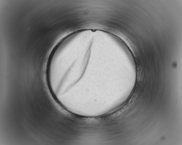 X0000102831139200809151033
