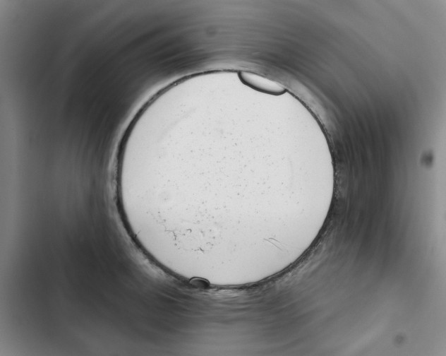 X0000102831140200809151033