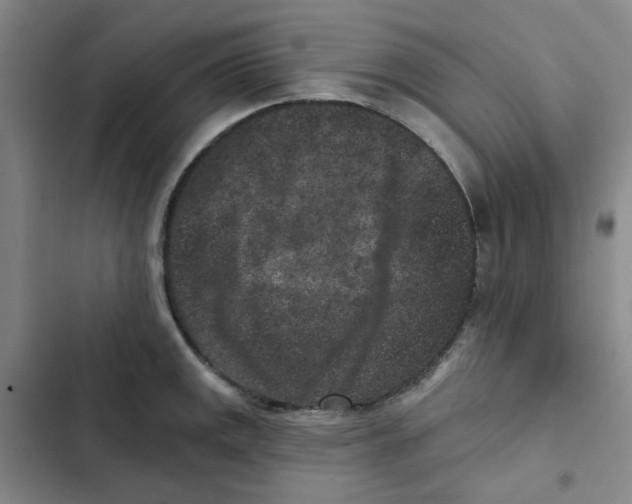 X0000102831141200809151033