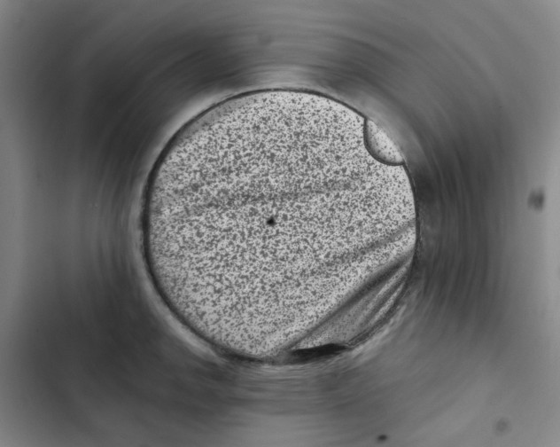 X0000102831142200809151033