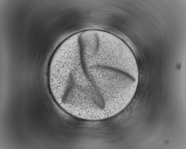 X0000102831143200809151033