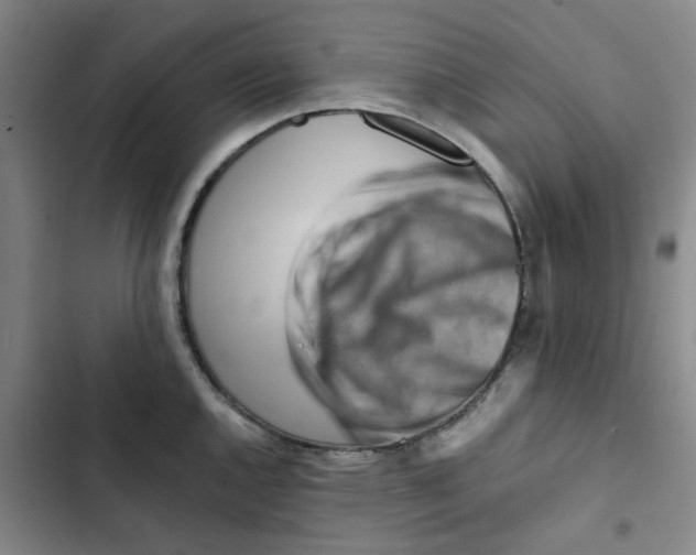 X0000102831144200809151033