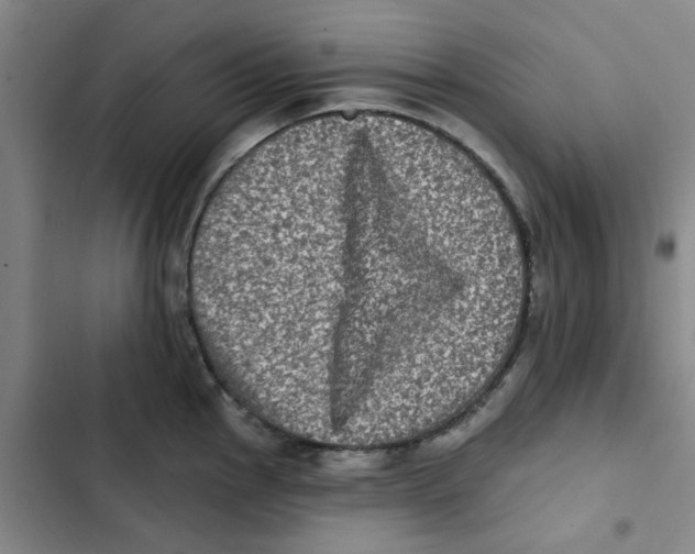 X0000102831145200809151033
