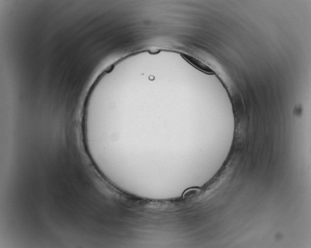 X0000102831146200809151033