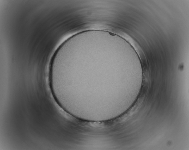 X0000102831147200809151033