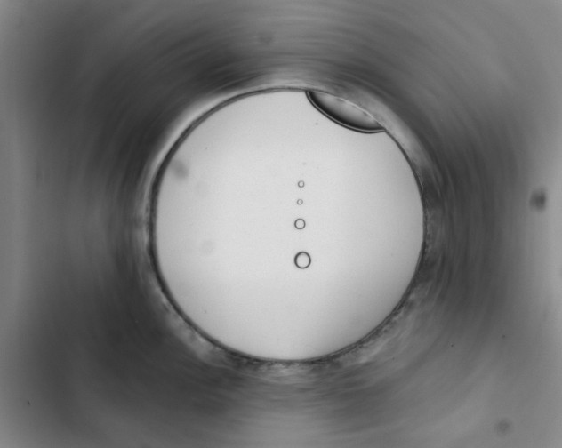 X0000102831148200809151033